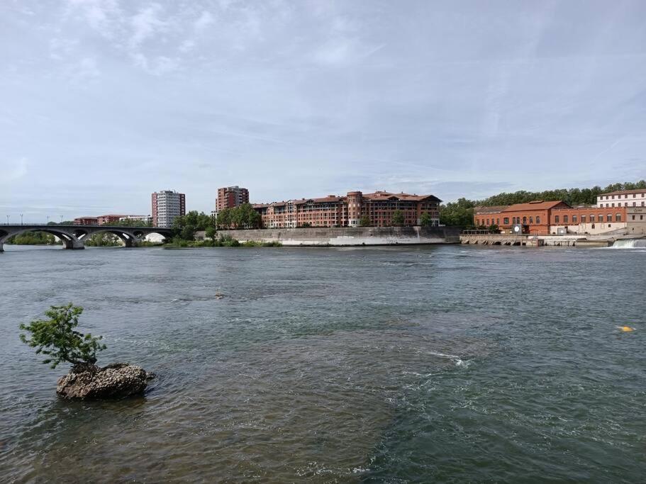 圖盧茲T3 Lumineux - Berges De La Garonne - Parking公寓 外观 照片